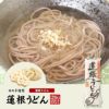 国産 蓮根うどん 200g×10袋セット