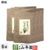 特級 ジャスミン茶 100g×6袋セット