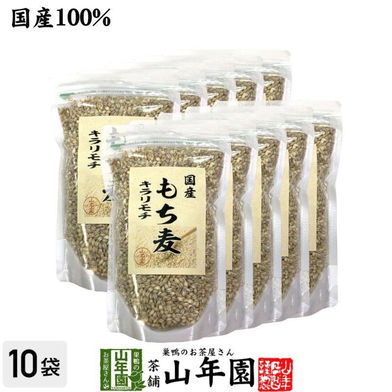 超人気 サルノコシカケ 500g www.alantaylor.com.au