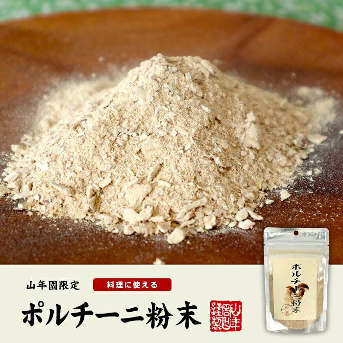 【本場イタリア産無農薬100%】 ポルチーニ茸の粉末 40g 送料無料