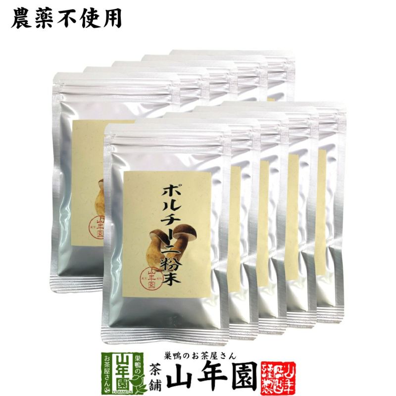 【本場イタリア産無農薬100%】 ポルチーニ茸の粉末 40g×10袋 送料無料