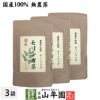 お茶 健康茶【国産】モリンガ茶 1g×10包×3袋 送料無料