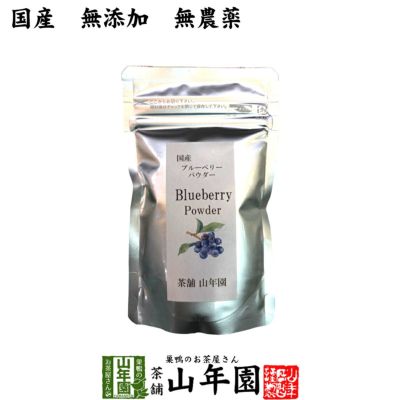 【国産】 ブルーベリー粉末 50g 送料無料