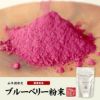 【国産】 ブルーベリー粉末 50g 送料無料