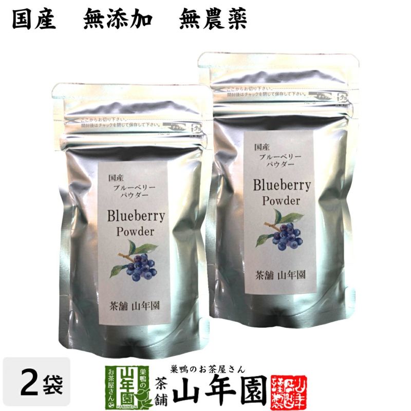 【国産】 ブルーベリー粉末 50g×2袋 送料無料