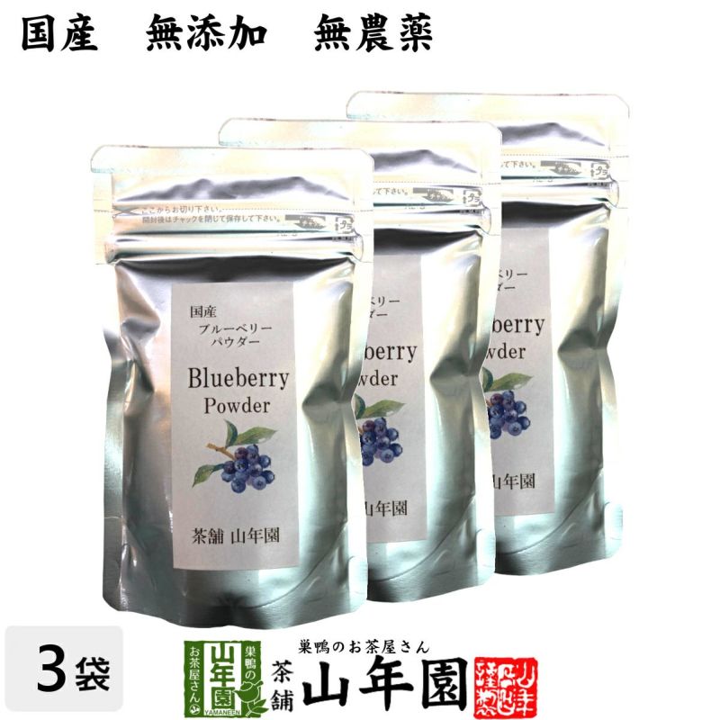 【国産】 ブルーベリー粉末 50g×3袋 送料無料