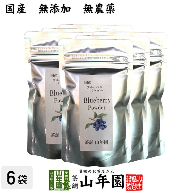 【国産】 ブルーベリー粉末 50g×6袋 送料無料