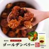 【無添加】ゴールデンベリー 100g インカベリー 食用ほおずき