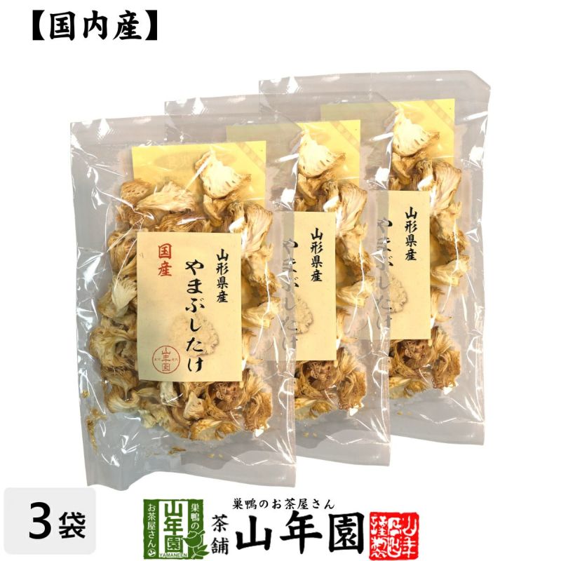 マーケティング ヤマブシタケ パウダー 100g 山伏茸 やまぶしたけ 粉末 100% お茶 サプリメント munozmarchesi.ar